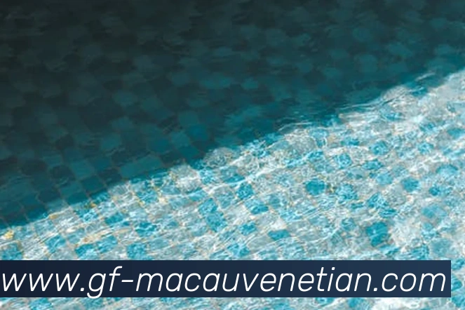 多媒体互动体验